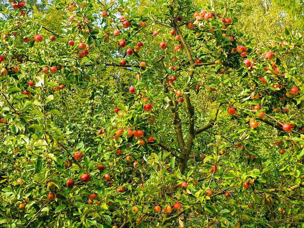 Domek Tylko Dla Ciebie Szczyrk Extérieur photo